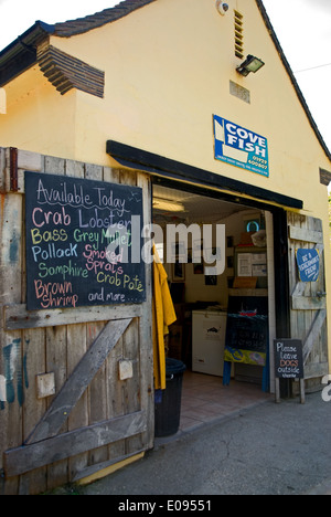 Une petite cabane en vente de Lulworth Cove Du poisson frais et des crustacés. Banque D'Images