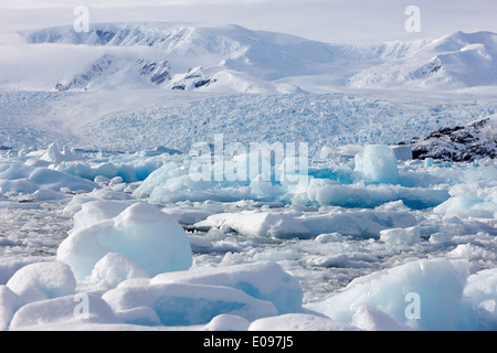 Pack de formation de glace de mer impétueuse ensemble à l'approche de l'hiver antarctique cierva cove Banque D'Images