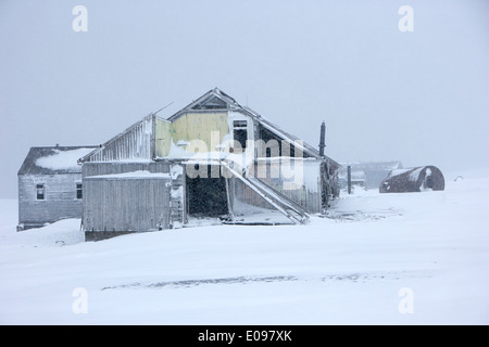 L'extérieur de l'ancien maison biscoe aktieselskabet hektor station baleinière la baie des baleiniers Deception Island Antarctique Banque D'Images