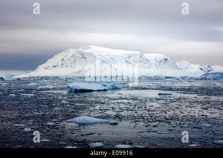 Brash et la mer de glace antarctique pack wilhelmina bay Banque D'Images