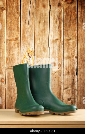 Bottes en caoutchouc vert. Bottes de travail agricole pour toutes sortes de travaux de jardinage. Banque D'Images