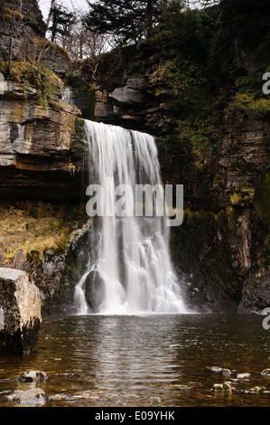 Thornton vigueur sur la rivière Twiss. Sentier des Chutes d''Ingleton, Ingleton, Yorkshire Dales National Park, North Yorkshire. Février Banque D'Images