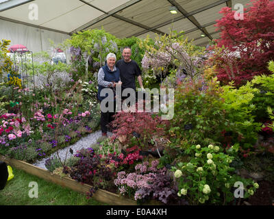 Malvern, Worcestershire, Royaume-Uni, 7 mai 2014 RHS Malvern Spring show. Pépinière Grange Farm presque prêts pour les juges. Crédit : Ian Thwaites/Alamy Live News Banque D'Images