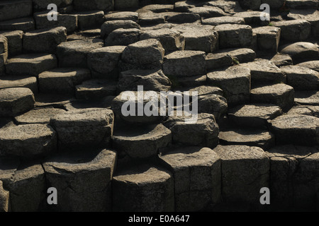 Giant's Causeway - site visiteur célèbre en Irlande du Nord (Royaume-Uni) pierres de basalte volcanique Banque D'Images