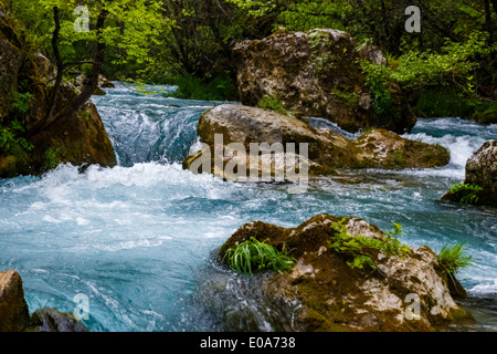 Les eaux de la rivière féroce à travers les roches moussues de forêt en Grèce Banque D'Images