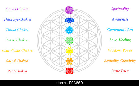 Les sept chakras principaux et leurs significations, qui correspondent parfaitement sur les jonctions de la Fleur-de-Life-Symbol. Banque D'Images