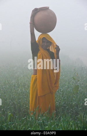 Femme en sari portant de l'eau sur un matin brumeux en Inde Banque D'Images