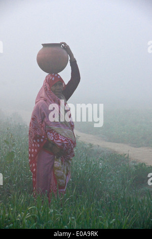 Femme en sari portant de l'eau sur un matin brumeux en Inde Banque D'Images