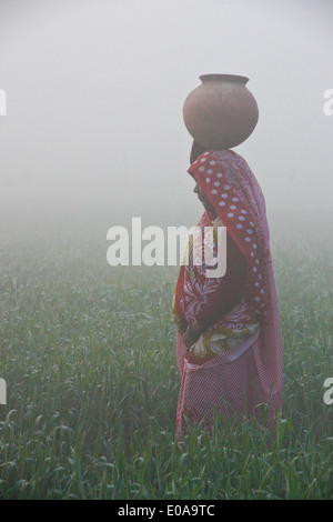 Femme en sari portant de l'eau sur un matin brumeux en Inde Banque D'Images