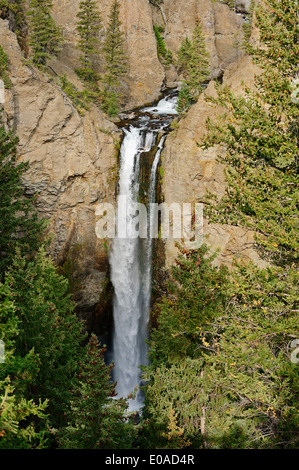 Tour de l'automne, le parc national de Yellowstone, Wyoming, USA Banque D'Images