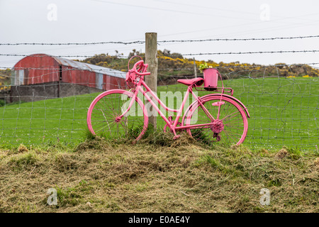 Giro d'Italie Irlande du Nord Vélo rose Bushmils Banque D'Images