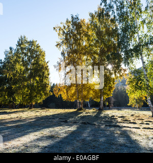 Dans la nature,route,xinjiang chine Banque D'Images