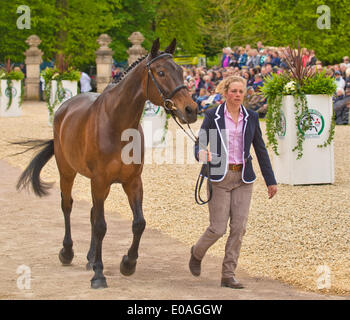 Badminton, UK. 7e mai 2014. Photo:Badminton Horse Trials UK- Mai 07 : défilé de chevaux pour l'inspection vétérinaire. Date 07/05/2014 Ref : Crédit : charlie bryan/Alamy Live News Banque D'Images