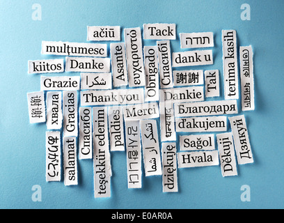 Merci Nuage de mots imprimés sur du papier sur bleu Banque D'Images