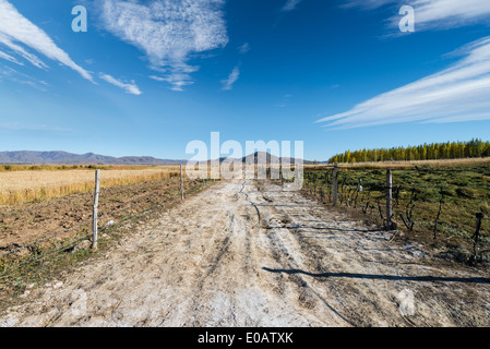 Dans la nature,route,xinjiang chine Banque D'Images