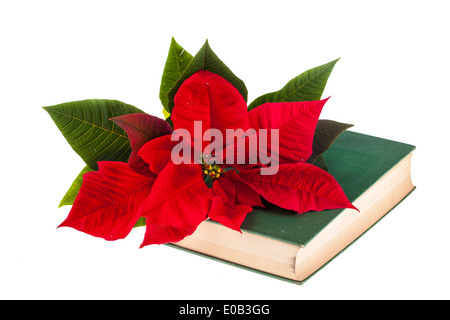 Le poinsettia fleur sur le haut d'un vieux livre isolated on white Banque D'Images