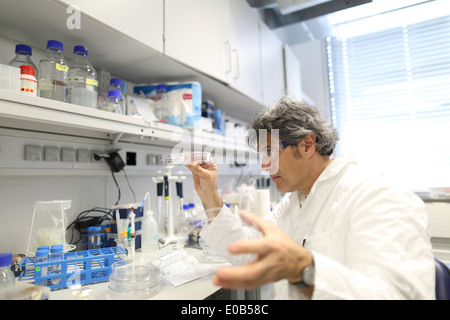 Allemagne, Fribourg, chercheur scientifique à l'évaluation des échantillons de laboratoire Banque D'Images