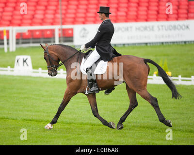 Badminton, UK. Le 08 mai, 2014. Mark Todd [USA] équitation NZB Campino prendre l'avance qu'au cours de la phase de dressage sur le premier jour de la 2014 Mitsubishi Motors Badminton Horse Trials. Credit : Action Plus Sport/Alamy Live News Banque D'Images