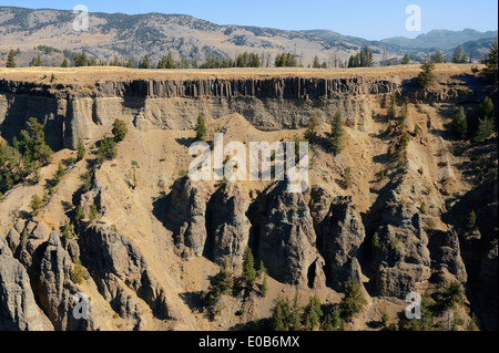 Formations des orgues basaltiques près de Tower de l'automne, le parc national de Yellowstone, Wyoming, USA Banque D'Images