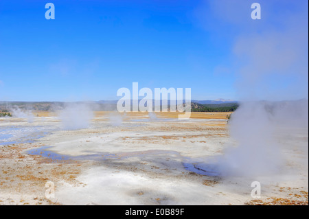 Fontaine geyser, Pot de peinture, le parc national de Yellowstone, Wyoming, USA Banque D'Images