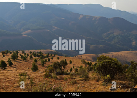 Paysage de montagne à partir de Mount Sheba à Pilgrim's Rest dans le Mpumalanga, Drakensberg du nord Banque D'Images