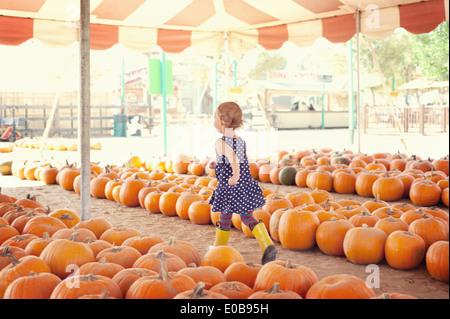 Fille courir à travers les citrouilles Banque D'Images