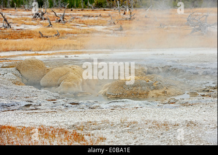 Jewel Geyser, Biscuit Basin, parc national de Yellowstone, États-Unis Banque D'Images