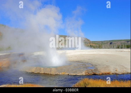 Cliff Geyser, bassin de sable noir, parc national de Yellowstone, États-Unis Banque D'Images