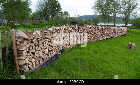 Une pile de bûches de bois de chauffage hachées pour une utilisation dans un combustible de poêle à bois dans le jardin sur une petite exploitation dans Powys Wales Royaume-Uni Grande-Bretagne KATHY DEWITT Banque D'Images