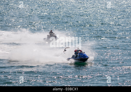 Deux courses de jet ski avec une mouette Banque D'Images