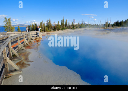 Black Pool, West Thumb Geyser Basin, parc national de Yellowstone, Wyoming, USA Banque D'Images