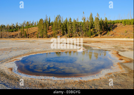 Piscine chromatique, Upper Geyser Basin, parc national de Yellowstone, Wyoming, USA Banque D'Images