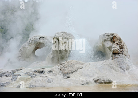 Grotto Geyser, Upper Geyser Basin, parc national de Yellowstone, Wyoming, USA Banque D'Images