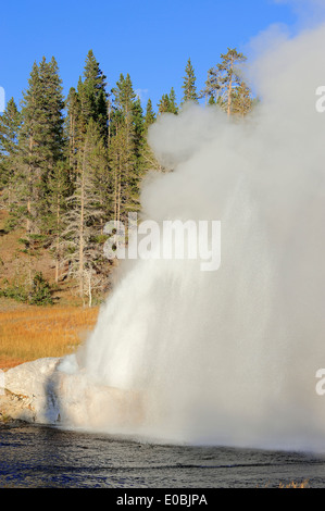 Riverside Geyser à la rivière Firehole, Upper Geyser Basin, parc national de Yellowstone, Wyoming, USA Banque D'Images