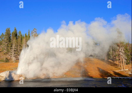 Riverside Geyser à la rivière Firehole, Upper Geyser Basin, parc national de Yellowstone, Wyoming, USA Banque D'Images