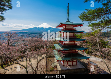 Chureito pagoda de fleurs de cerisiers et le Mont Fuji en arrière-plan, Fujiyoshida, préfecture de Yamanashi, Japon Banque D'Images