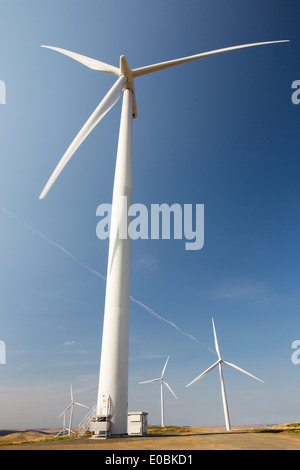 La ferme éolienne de Clyde dans les hautes terres du sud de l'Ecosse près de Biggar. C'est l'un des le plus grand intégrant 152 éoliennes produisant 350 MW et couvre 47 kilomtres carrés Banque D'Images