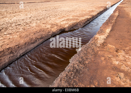 Une tourbière soulevée en cours de récolte de tourbe pour près de Douglas de l'eau dans les hautes terres du sud de l'Ecosse. Banque D'Images