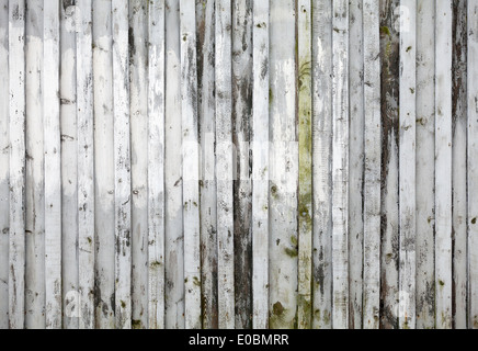 Vieux mur en bois blanc nouvelle texture de fond photo Banque D'Images