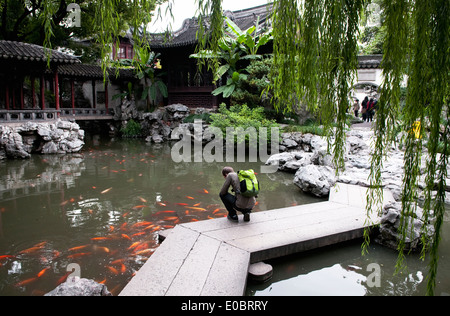 Un jeune homme regarde tout le poisson koi au Jardins de Yuyuan de Shanghai, Chine. Banque D'Images