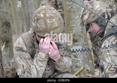 La famille de radios tactiques BOWMAN fournit l'armée britannique avec HF, VHF et UHF communications voix et données à partir de la formation Banque D'Images