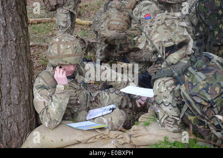 La famille de radios tactiques BOWMAN fournit l'armée britannique avec HF, VHF et UHF communications voix et données à partir de la formation Banque D'Images