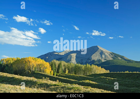 Montagnes et tremble à l'automne près de Crested Butte, Colorado USA Banque D'Images