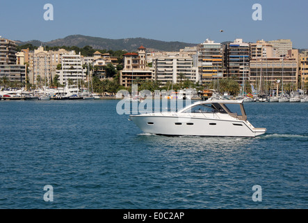 Bateau Mallorca - Sealine SC35 motor yacht - Palma Paseo Maritimo  + marinas - Palma de Majorque, Iles Baléares Banque D'Images