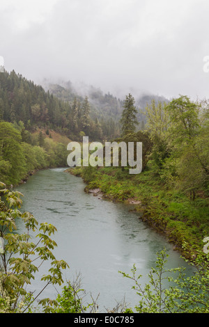 Scène de rivière pacifique dans l'Oregon en début d'après-midi, avec une végétation luxuriante Banque D'Images