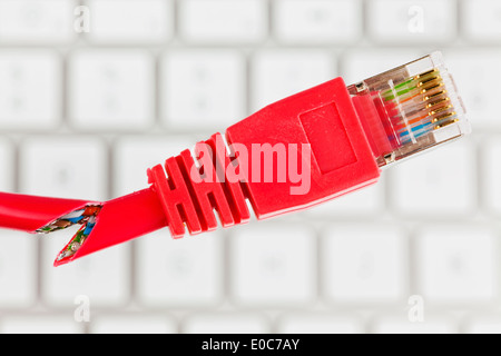 Le câble rouge d'un réseau d'un ordinateur. Elle est séparée à l'aide de ciseaux., Das rote Kabel eines Netzwerkes von einem Ordinateur. Wifi Banque D'Images