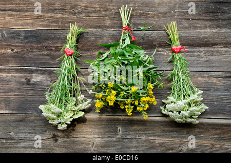 Medical herb bouquet d'été sur l'ancien mur de la grange de ferme en bois Banque D'Images