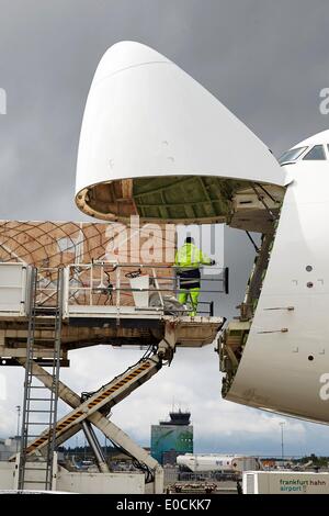 Lautzenhausen, Allemagne. 09 mai, 2014. Un Atlas Air Boeing 747-8 cargo est chargé avec du fret de l'Aéroport de Zhengzhou à Lautzenhausen, Allemagne, 09 mai 2014. L'aéroport de Hahn a commencé une coopération avec l'Aéroport de Zhengzhou dans le cadre de la World Cargo Alliance des aéroports. Photo : THOMAS FREY/dpa/Alamy Live News Banque D'Images