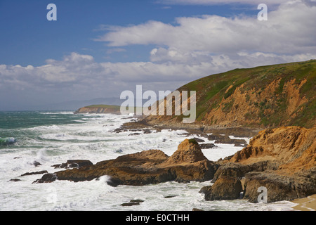 Côte du Pacifique à Bodega Bay, Bodega Head, Sonoma, La Route 1, en Californie, USA, Amérique Latine Banque D'Images