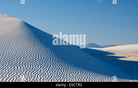 Dunes de gypse, White Sands National Monument, New Mexico, USA, Amérique Latine Banque D'Images